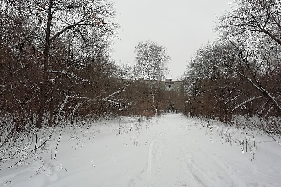 Место, где хотят построить ФОК Фото: Анна СЕМИНА