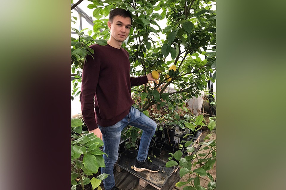 В цитрусоводство Михаила Козюлина втянула мама Ирина.