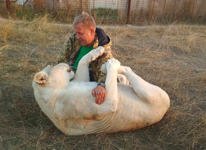 Зубков отлично общается со львами, с чиновниками - не очень Фото: Анна КИРИЕНКО