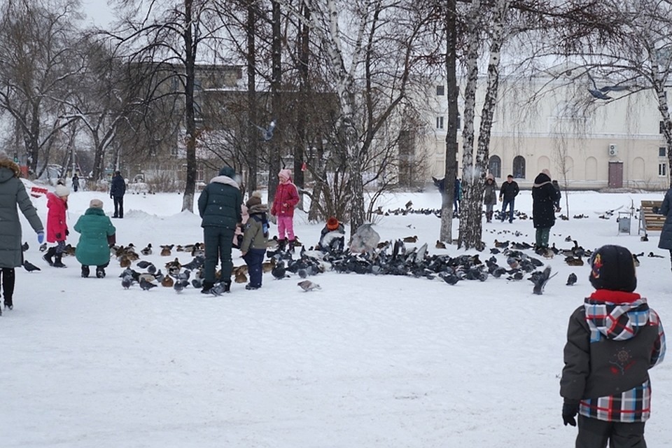В любую погоду новокузнечане идут кормить уток на берег Абы. Фото: Галина ШЕЛГАЧЕВА