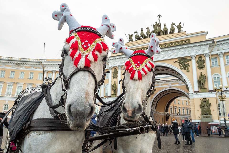 Вот такие красавцы встречали горожан в центре Петербурга. Фото: Олег ЗОЛОТО