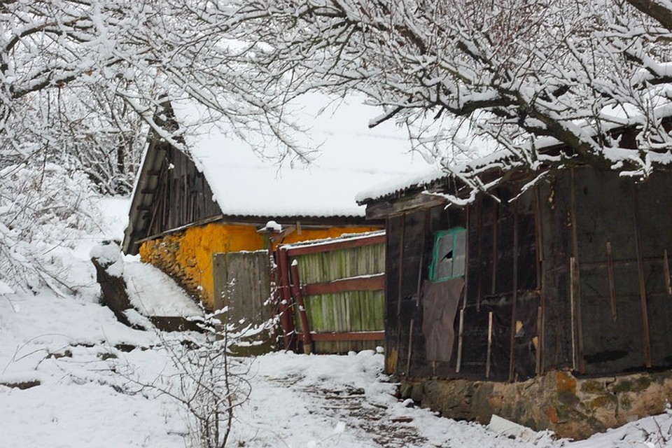 Прекрасное в простом. Фото: Илья Богатиков