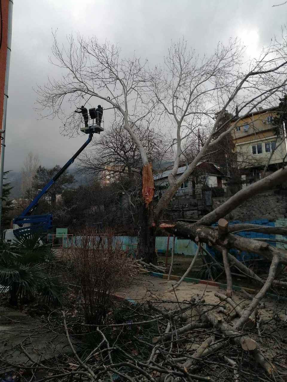 Разбор завалов происходит на фоне продолжающейся непогоды. Фото: пресс-служба администрации Ялты