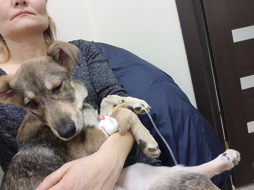 Лиза справилась благодаря заботливым людям Фото: Предоставлено "Комсомолке"