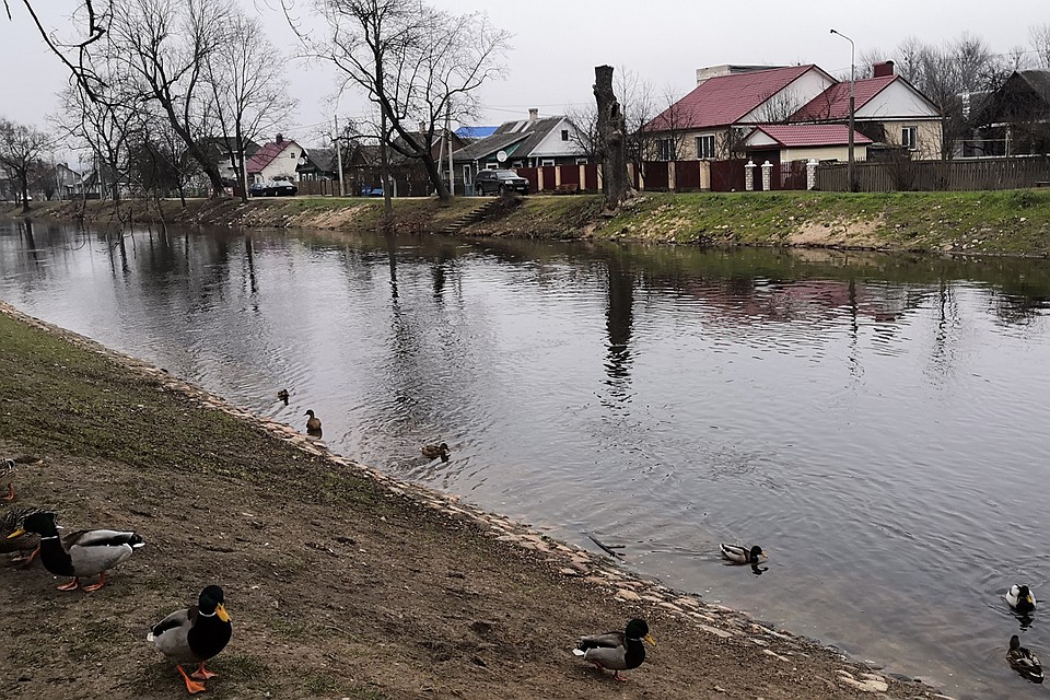 Канал Огинского живописный, но уже не судоходный. Фото: Раиса ЮДИНА