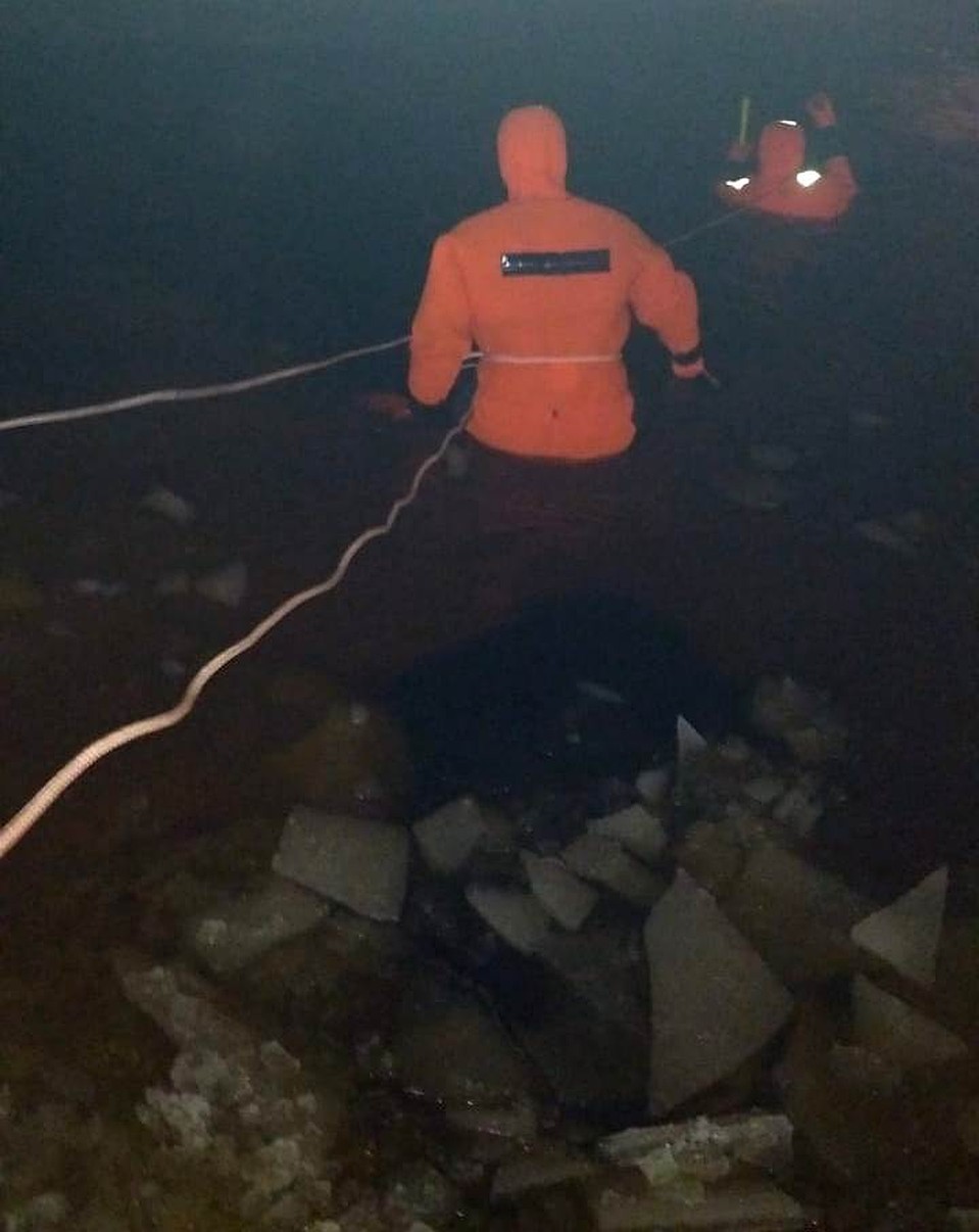 Пенсионер бросился в воду за собакой Фото: поисково-спасательный отряд Тосно