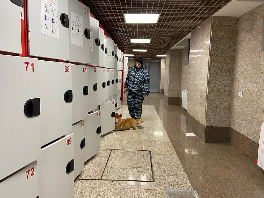 Баночка с «наркотиками» была спрятана в одной из 100 камер. И здесь корж справился на отлично – нашел запрещенку меньше, чем за минуту Фото: Ольга АЛЕКСЕЕВА