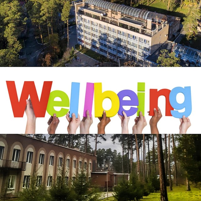 Программа Wellbeing — «Здоровье работника — выгода работодателя». Фото: spmetallurg.com