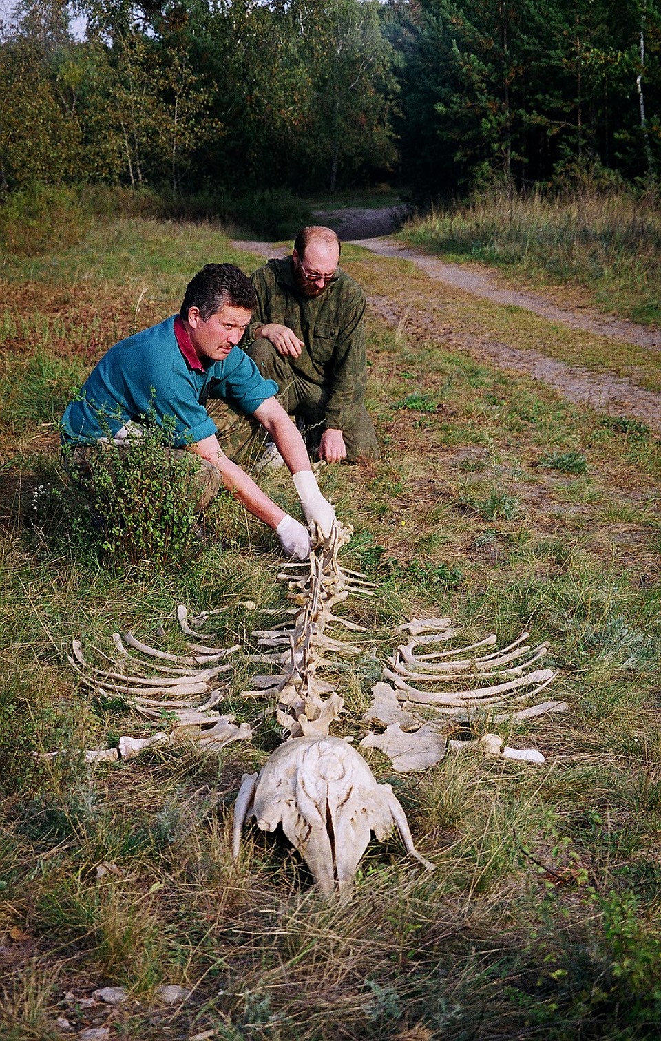 Белуха на Андреевском озере. Фото из архива Павла Ситникова