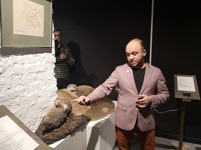 Ежики во время акта продления своего рода. Фото: vk.com/kazdoytvaripopare