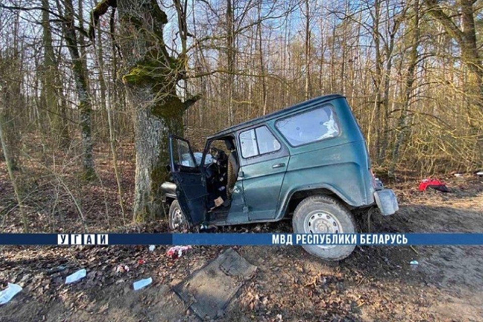Водитель не справился с управлением и съехал с дороги. Фото: МВД.