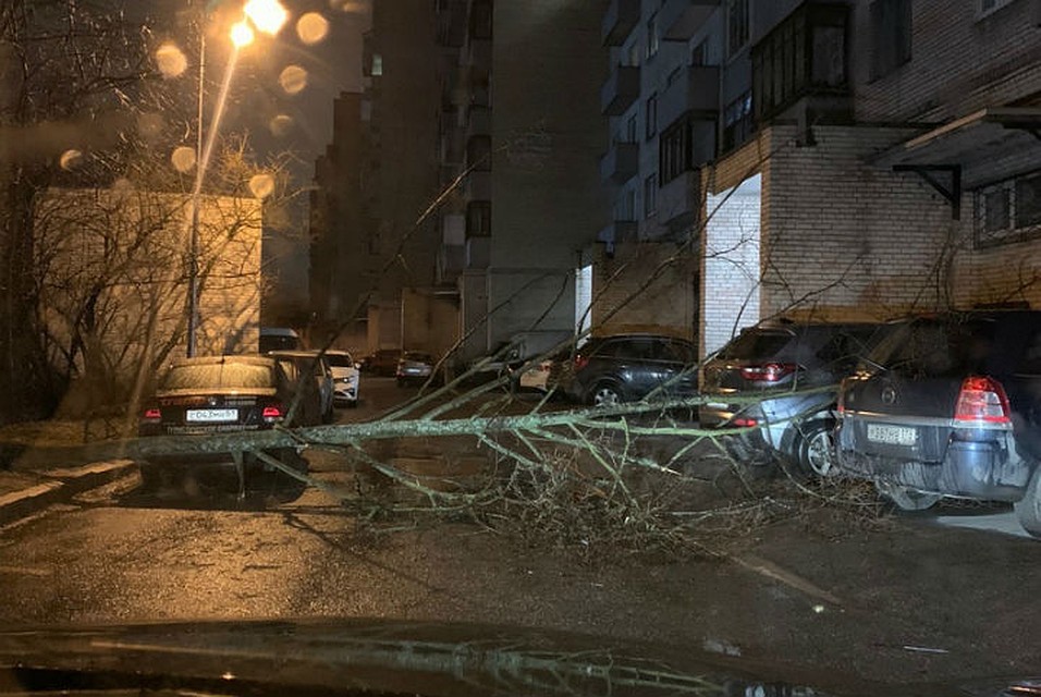 Ветер промахнулся Фото: СОЦСЕТИ