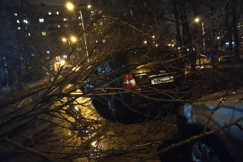 Автомобилям на проспекте Культуры не повезло Фото: СОЦСЕТИ