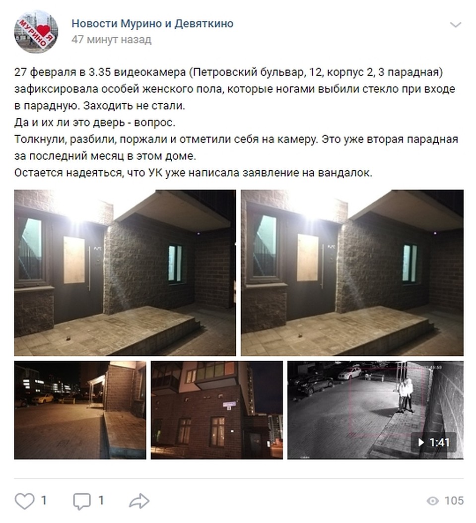 О хулиганках рассказали в соцсетях. Фото: vk.com/murino_devyatkino