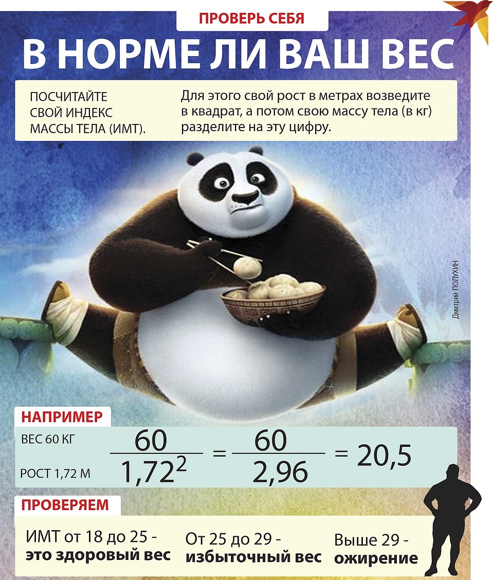 В норме ли ваш вес. Фото: Дмитрий ПОЛУХИН