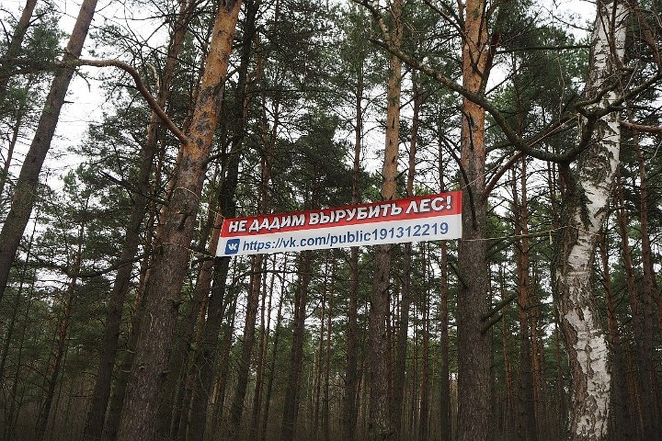 Фото: ЛДПР.
