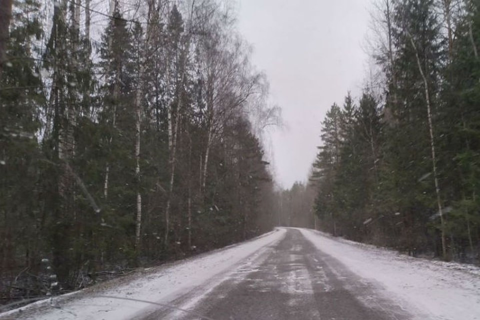 А такой снегопад был на севере области. ФОТО: Елена Старцева.