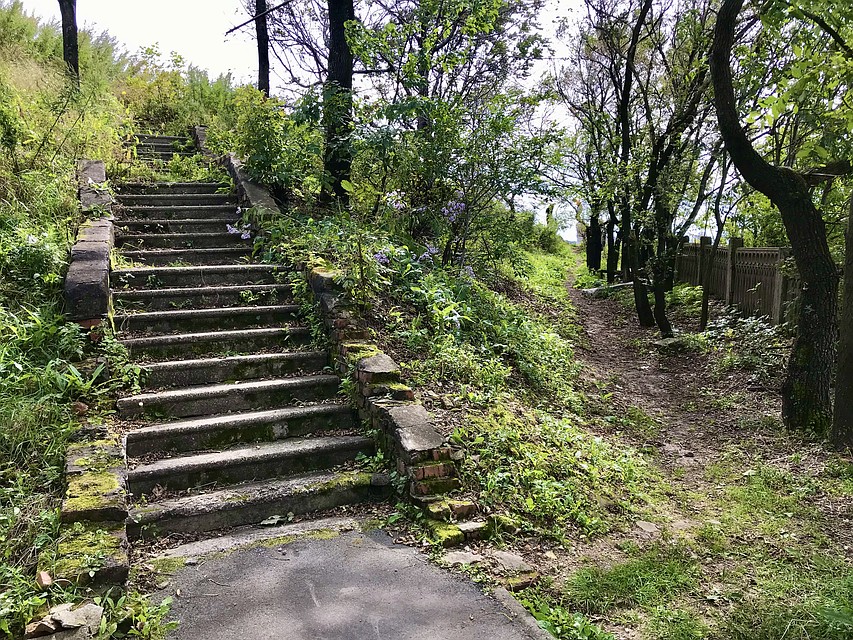 Территория Алексеевской сопки действительно нуждается в благоустройстве Фото: Сергей БАЛАНОВ