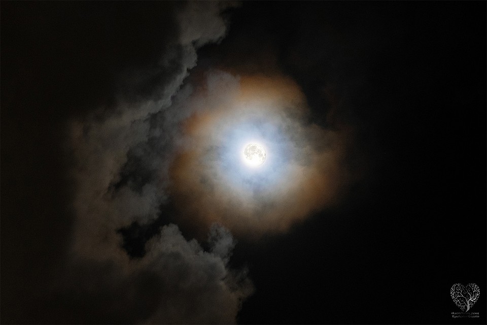 Лунная корона. Фото: vk.com/meteokirov, Вячеслав АДРЕЕВИЧ