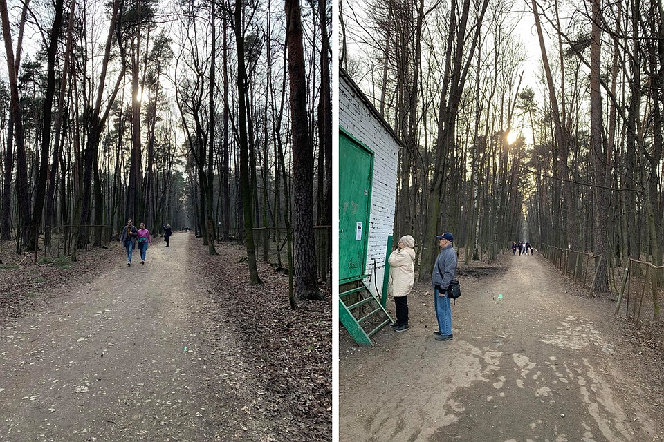 В Тимирязевском лесу стар и млад. Фото: Елена ПОПОВА