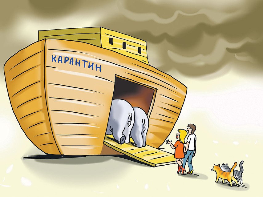 Почему мы так легкомысленно относимся к серьезной угрозе? Фото: Екатерина МАРТИНОВИЧ