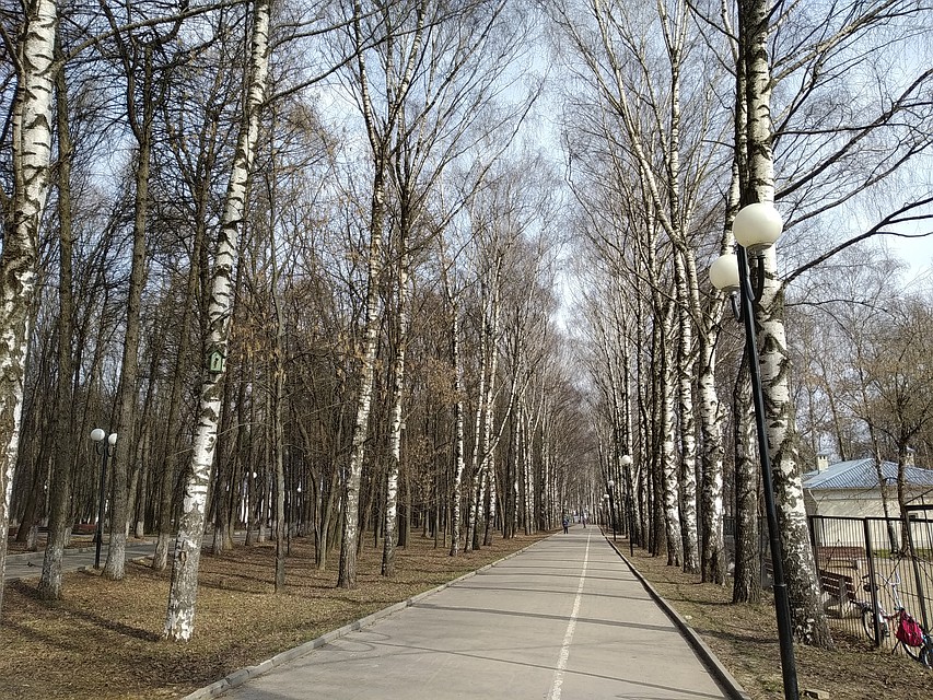 "Центральный парк" Фото: Анна ДЕКТЯРЕВА