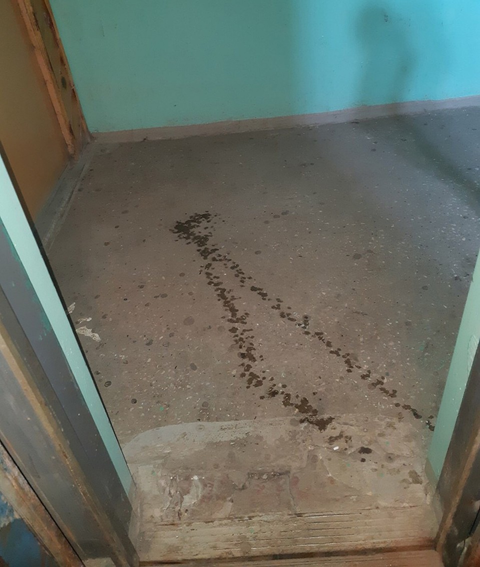 «Святой водой побрызгали»: Нижегородцы жалуются на плохое качество уборки подъездов. ФОТО:«Типичный Нижний»