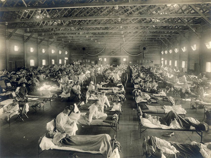 Вирус гриппа H1N1 («испанка») впервые проник в Европу в середине XIX века. И вот этот «подарок» планета получила действительно из Китая. Фото: wikimedia.org
