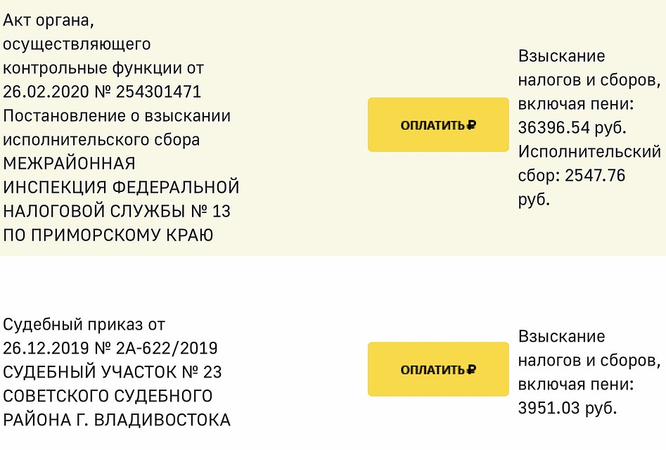 Информация о долгах Ворожбит находится в открытом доступе - на сайте ФССП.