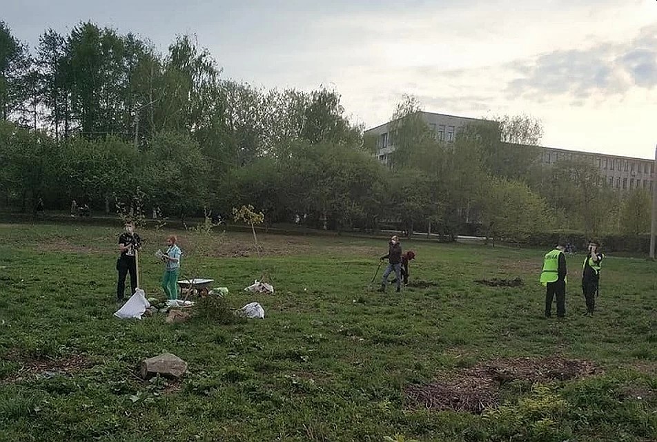 Работы по посадке растений активисты провели в выходные дни. Фото: Константин Киселев