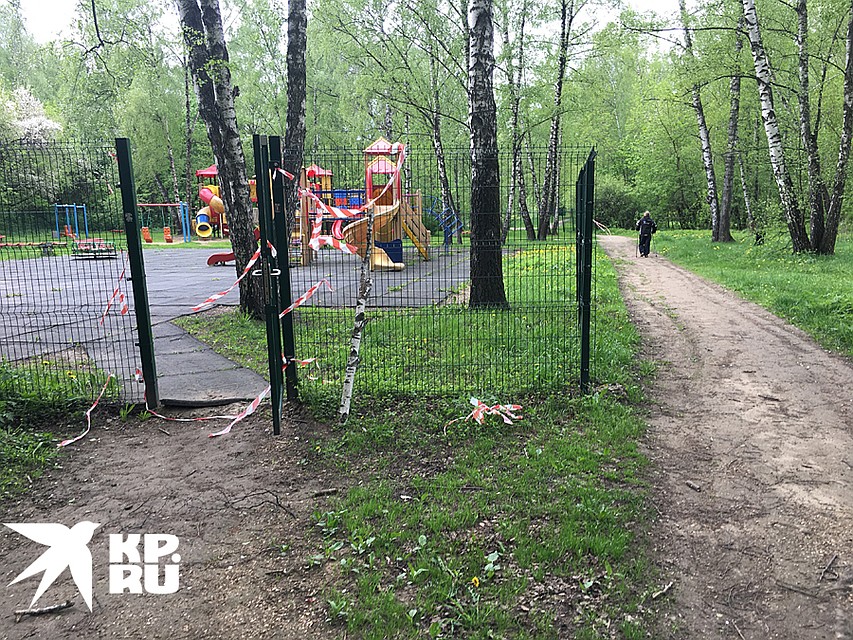 Лента на территории Кусковского лесопарка почти везде сорвана Фото: Павел КЛОКОВ