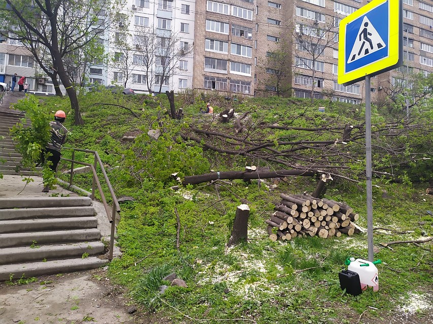 Здесь горожане хотели построить гаражный кооператив, но разрешение на него тогда не дали Фото: Милана СОКОЛ