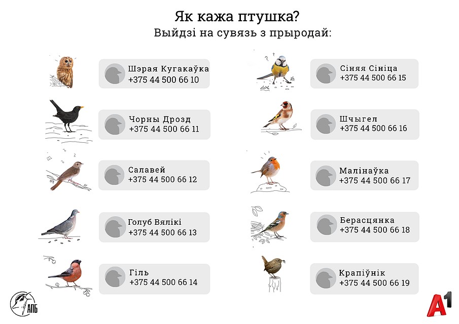 Позвонить птицам можно по этим номерам