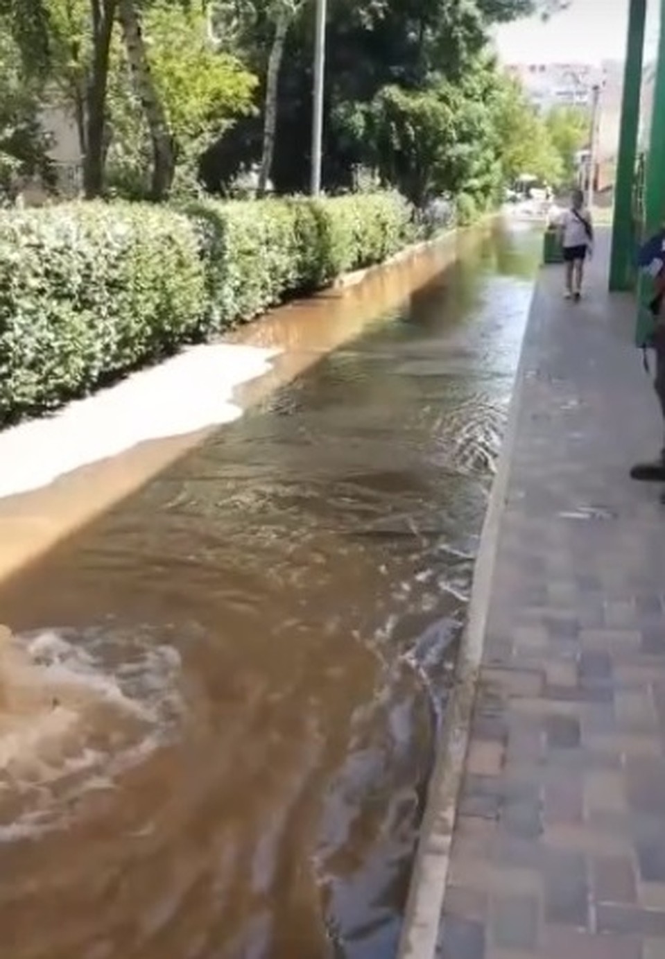 Сброс грязной воды Фото: СОЦСЕТИ