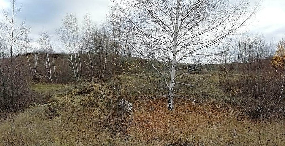 Место, где произошла трагедия. Фото: с сайта СУ СК России по Воронежской области.