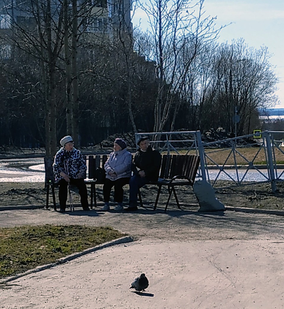 Город становится чище, благодаря усилиям журналистов. Фото: Из архива Натальи Черновой
