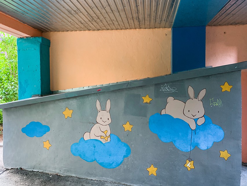 Фото: Амир Закиров