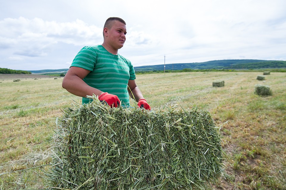 Фото: Михаил Патлис