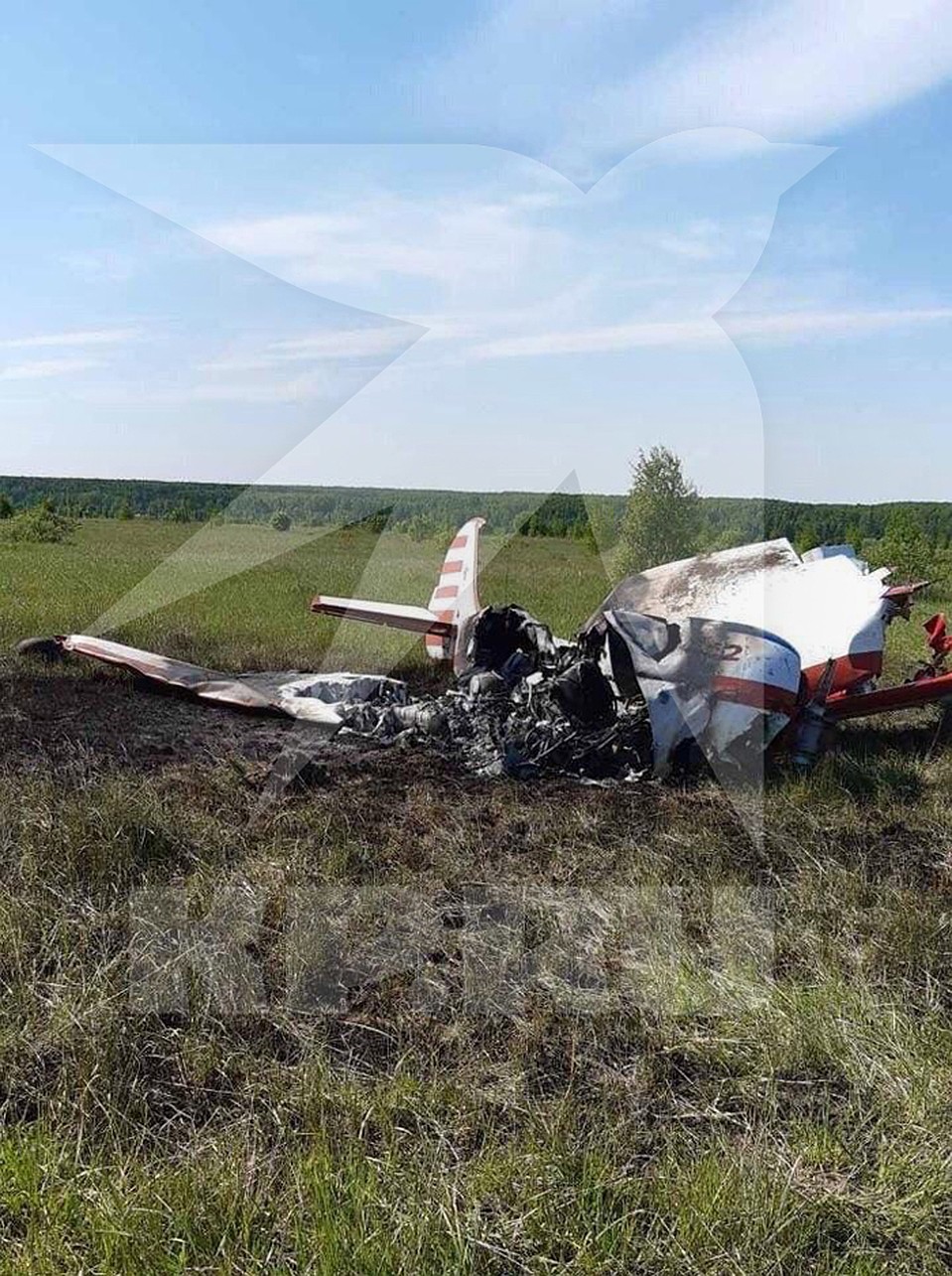 Кадры с места падения ЯК-52 под Нижним Новгородом Фото: Предоставлено "Комсомолке"