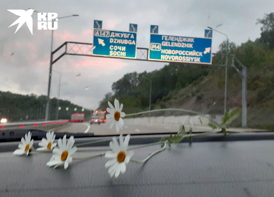 Карантинных постов мы не встретили Фото: Евгения ОСТРАЯ