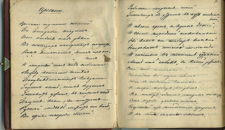 Эскперты считают, что дневник мог принадлежать женщине