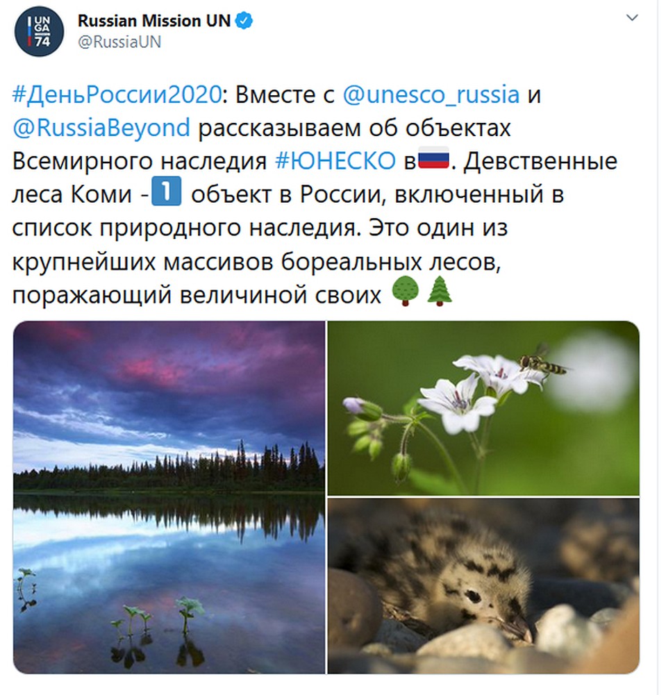 Россия рассказывает в сети о своих объектах Всемирного наследия ЮНЕСКО