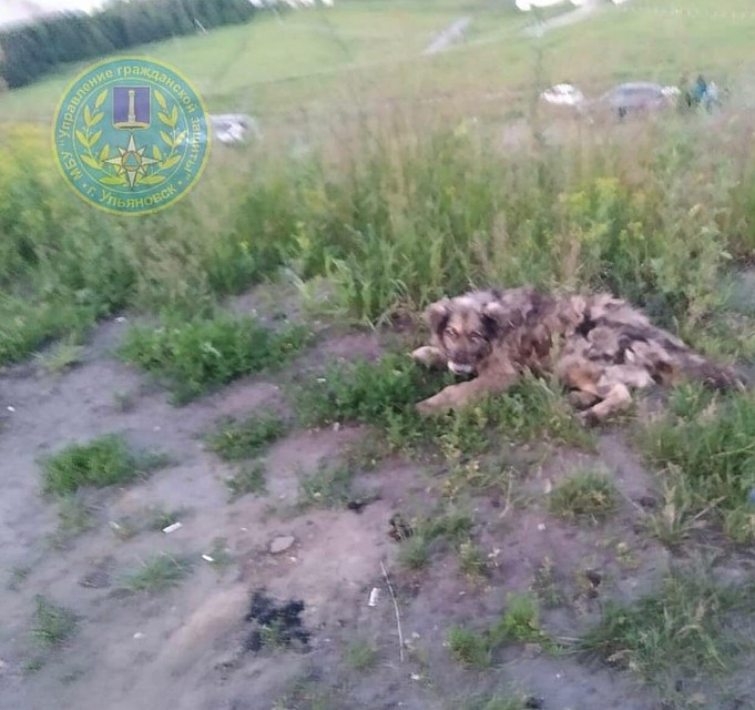 Фото: МБУ "Управление гражданской защиты Ульяновска"