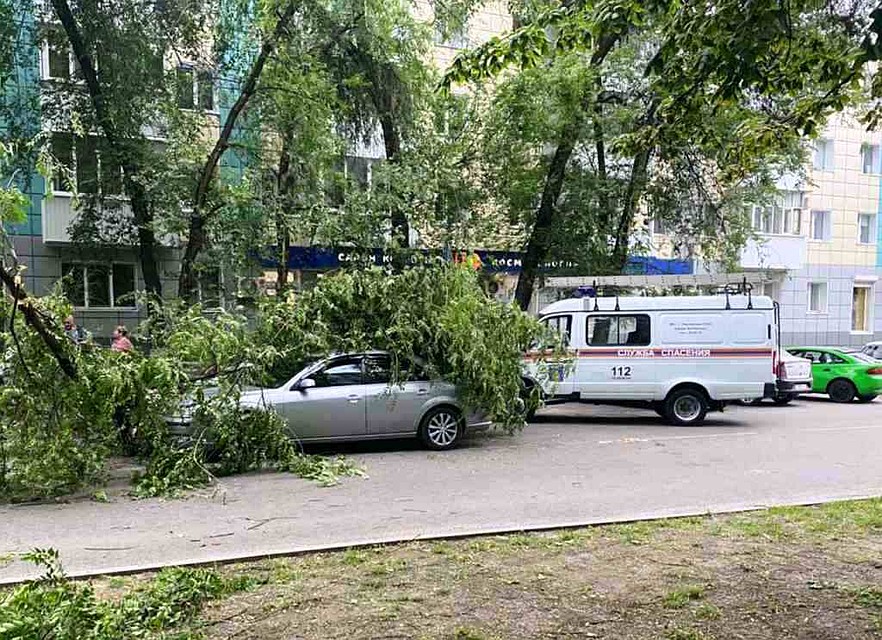 Фото пресс-службы ГУ МЧС России по Белгородской области.