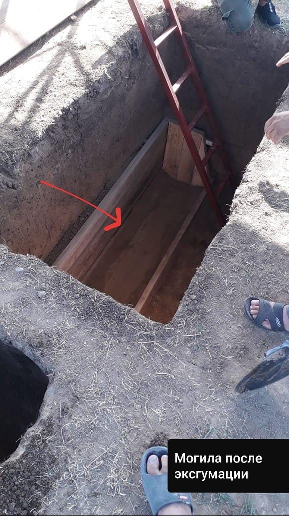 Фото: СОЦСЕТИ - https://vk.com/femkav
