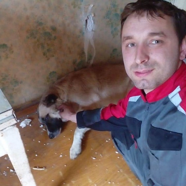 В Хабаровском крае сотрудники аварийно-спасательной службы спасли собак от голодной смерти Фото: Правительство Хабаровского края