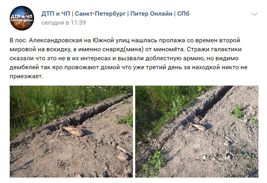 На то, что находку не могут вывезти уже три дня, жители жалуются в соцсетях. Фото: vk.com/spb_today