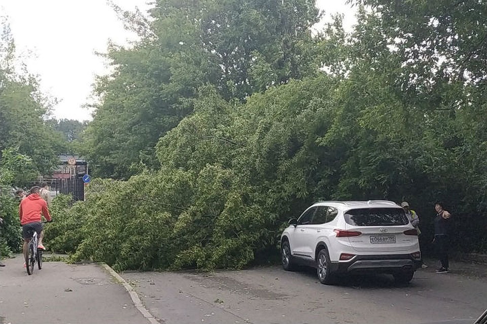 Во многих районах Петербурге заблокированы дороги Фото: СОЦСЕТИ