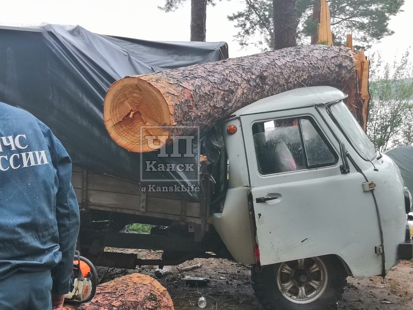 В момент урагана деревья становятся не укрытием, а угрозой. Фото: "ЧП Канск"