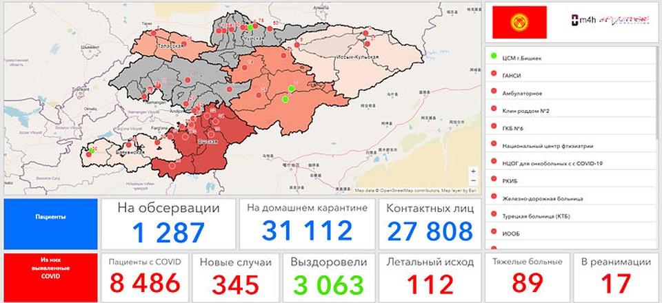 Статистические показатели на карте Фото: Минздрав КР